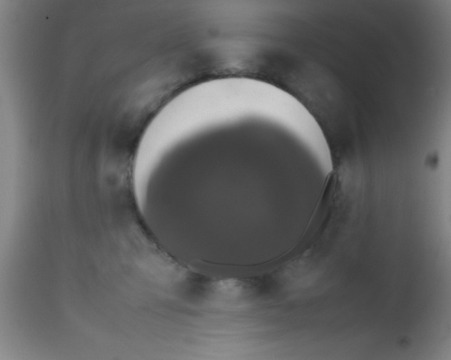 X0000112530423200909071402