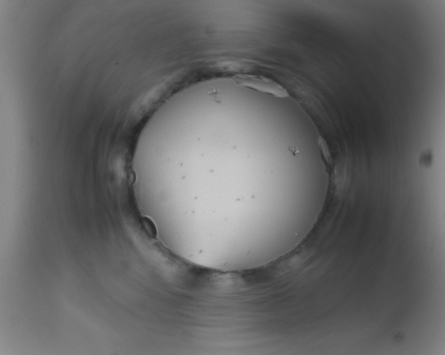 X0000112530424200909071402