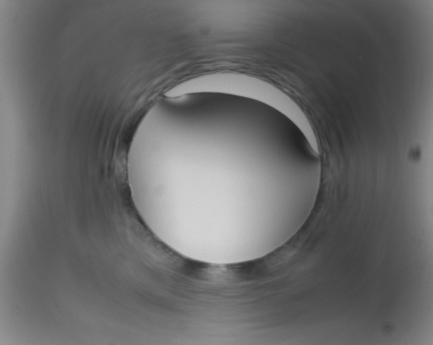 X0000112530425200909071402