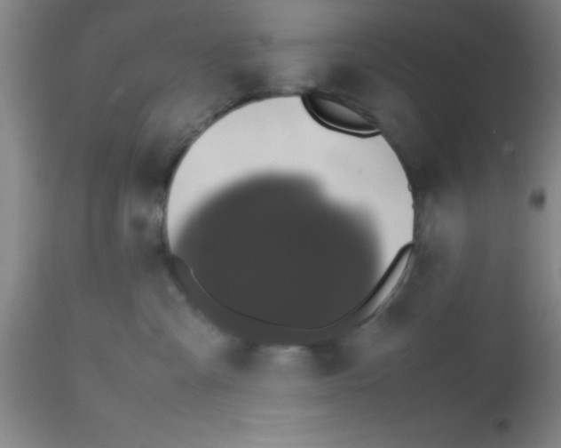 X0000112530427200909071402