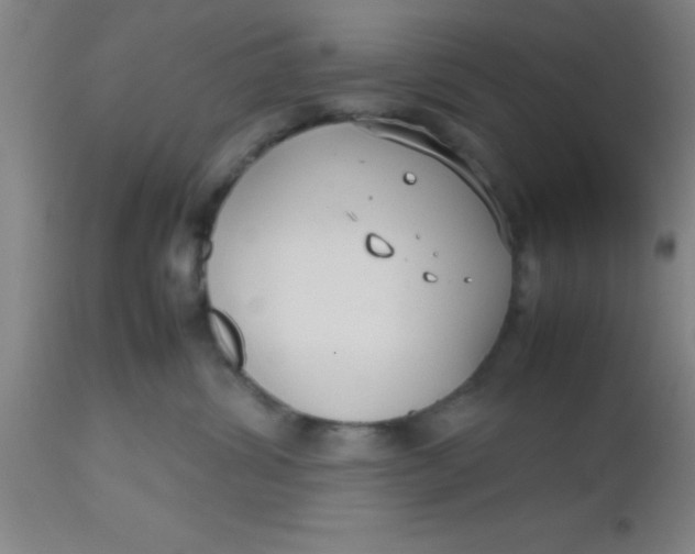 X0000112530428200909071402