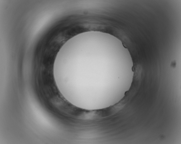 X0000112530430200909071402