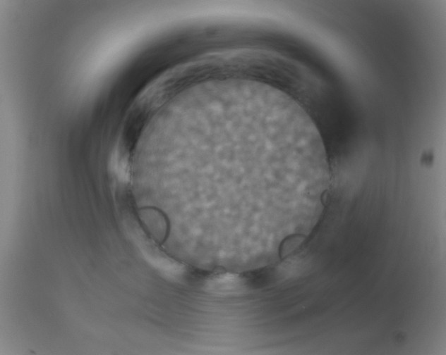 X0000112530431200909071402