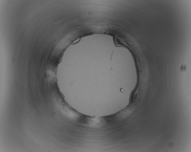 X0000112530432200909071402