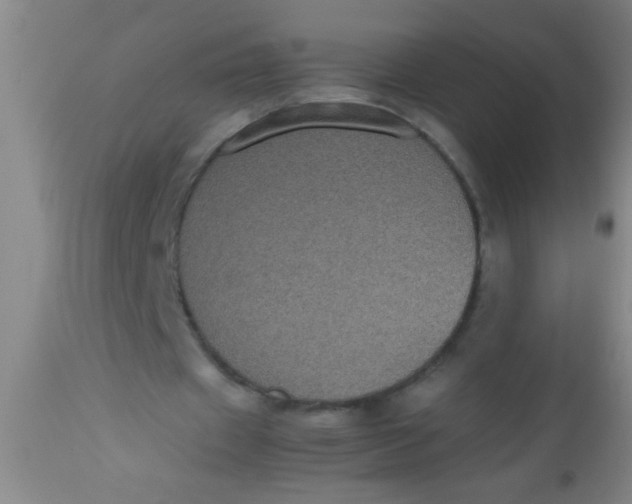 X0000112530433200909071401