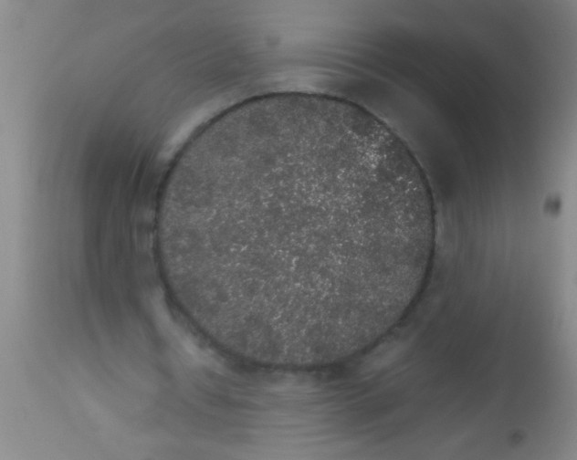 X0000112530434200909071401