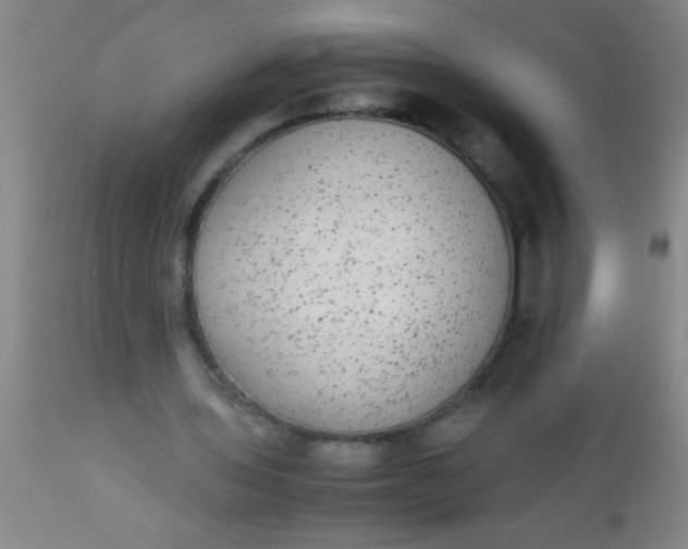 X0000112530435200909071401