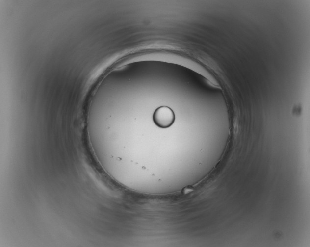 X0000112530436200909071401