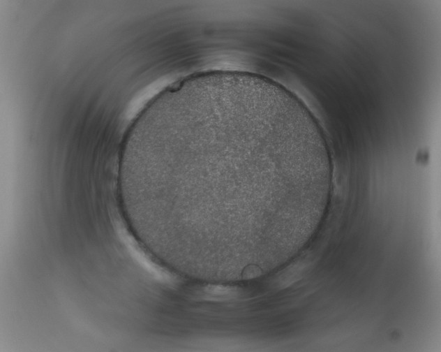 X0000112530437200909071401