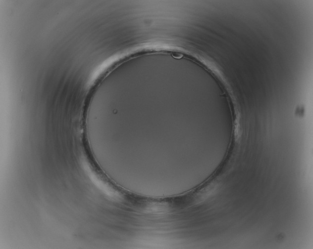 X0000112530438200909071401