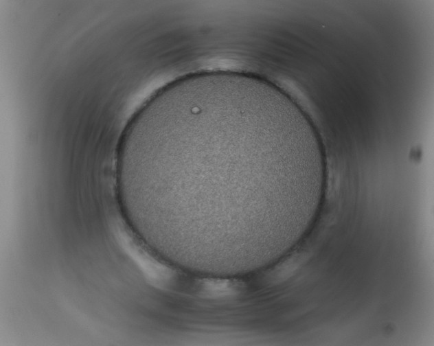 X0000112530439200909071401