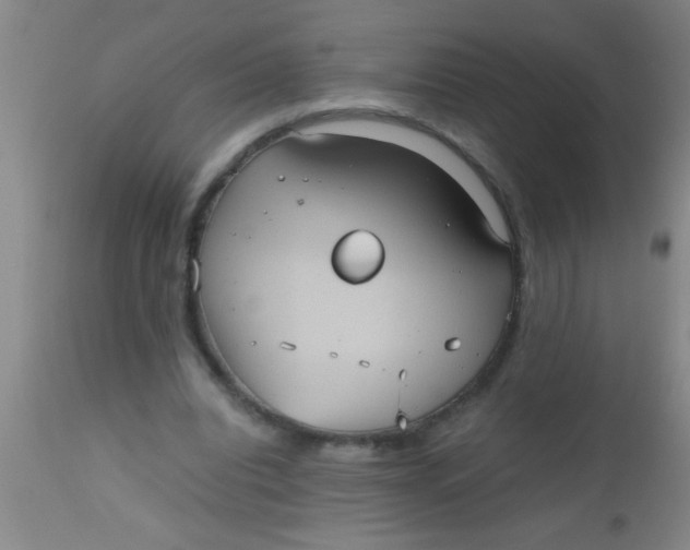 X0000112530440200909071401