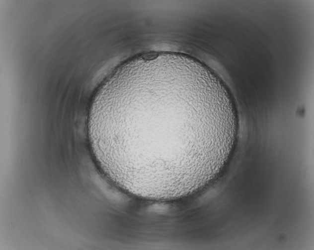 X0000112530441200909071401