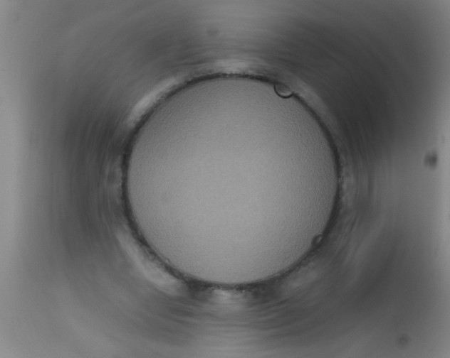 X0000112530442200909071401