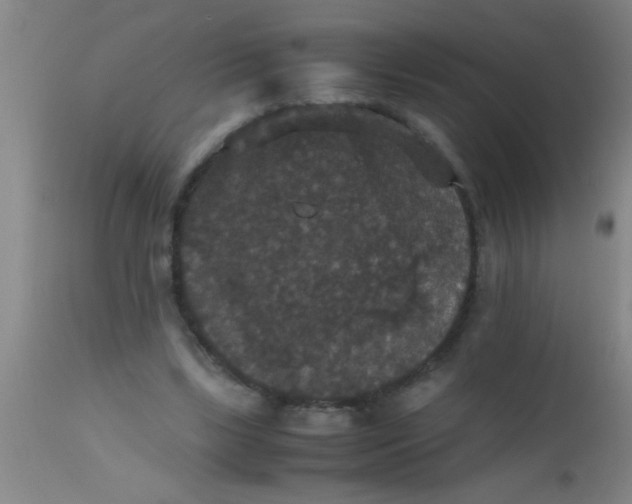 X0000112530443200909071401