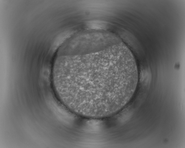 X0000112530444200909071402