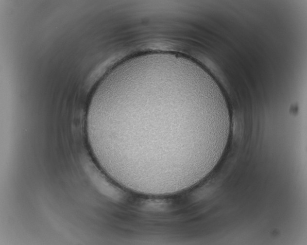 X0000112530445200909071402