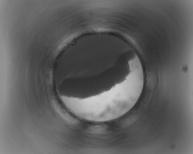 X0000112530447200909071402