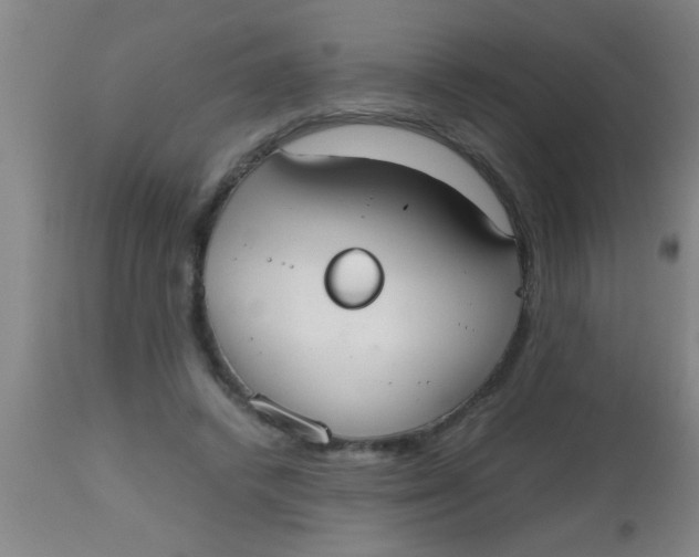 X0000112530448200909071402