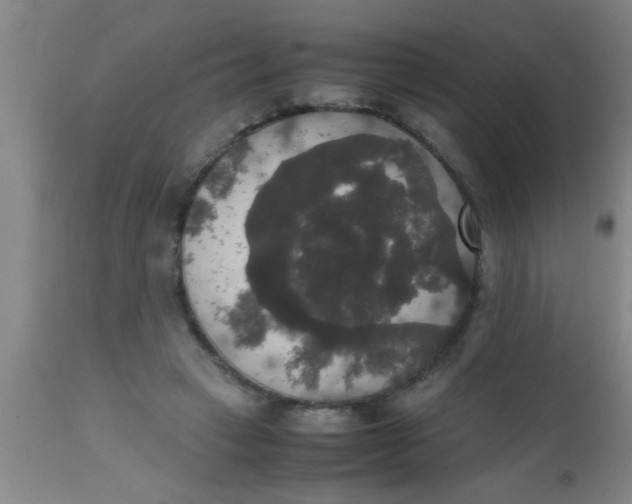 X0000112530449200909071402