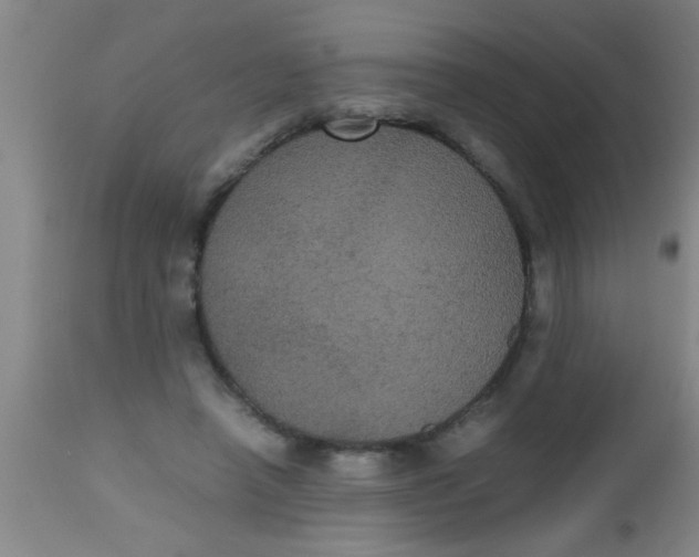 X0000112530450200909071402