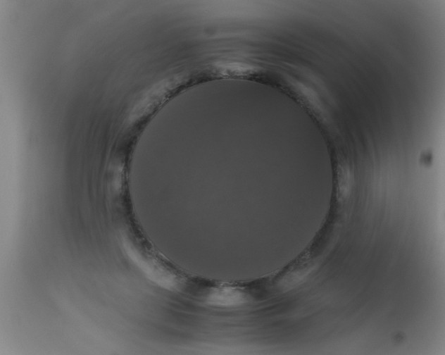 X0000112530451200909071402