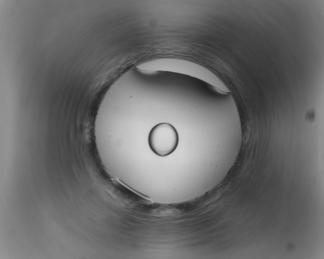 X0000112530452200909071402