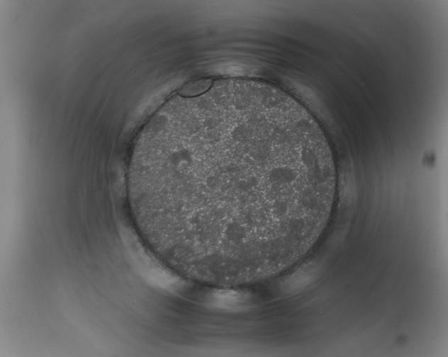 X0000112530453200909071402