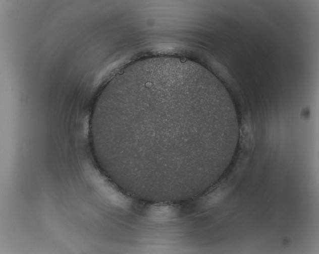 X0000112530454200909071402