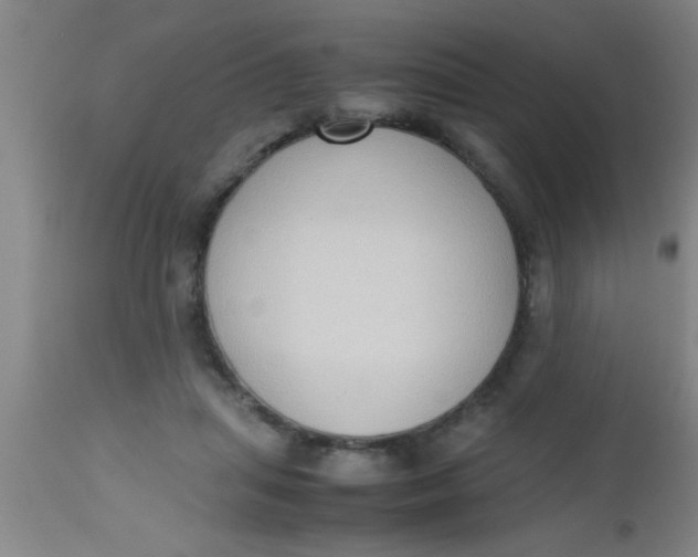 X0000112530455200909071402