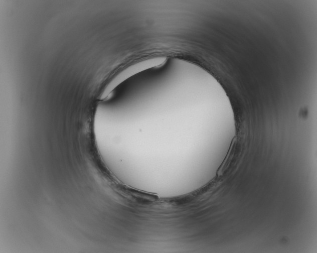 X0000112530456200909071402