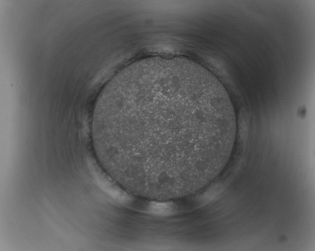 X0000112530457200909071402