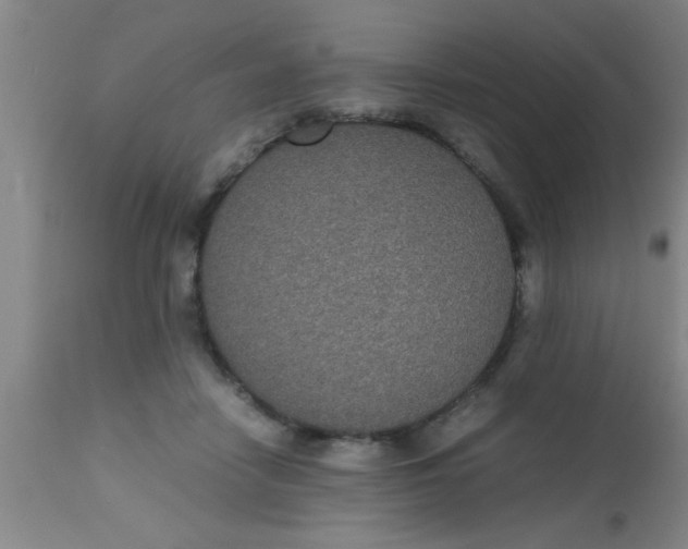 X0000112530458200909071402