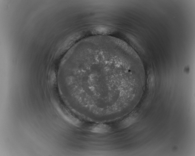 X0000112530459200909071402