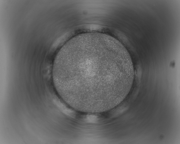 X0000112530462200909071402