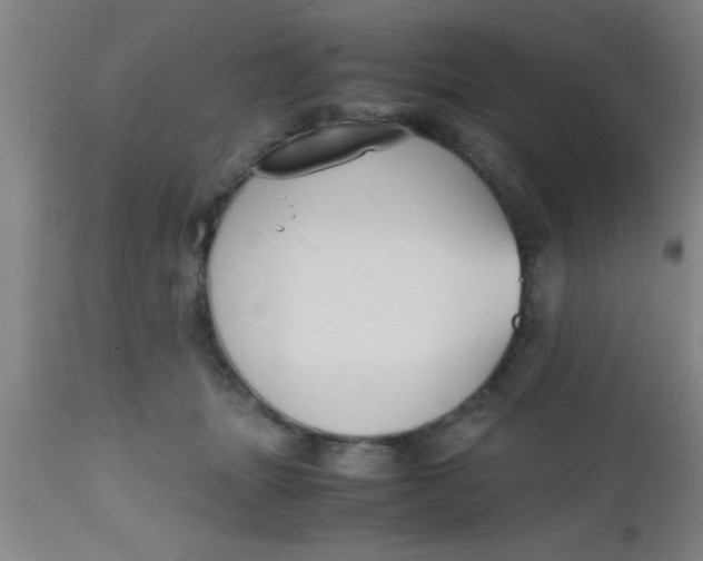 X0000112530463200909071402