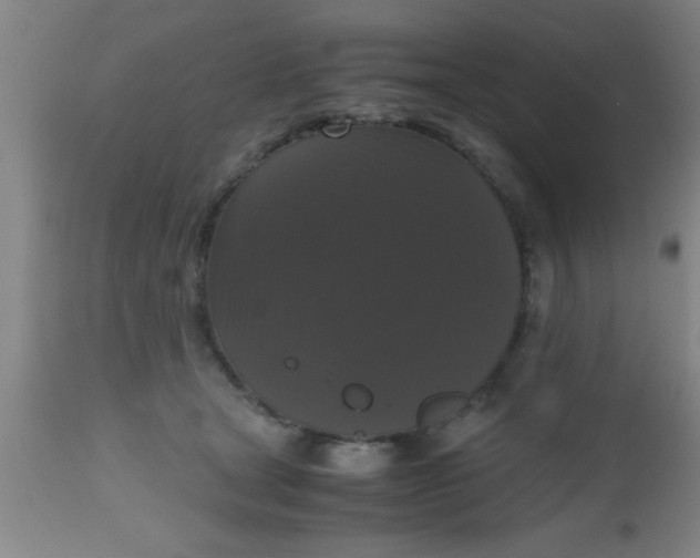 X0000112530465200909071402