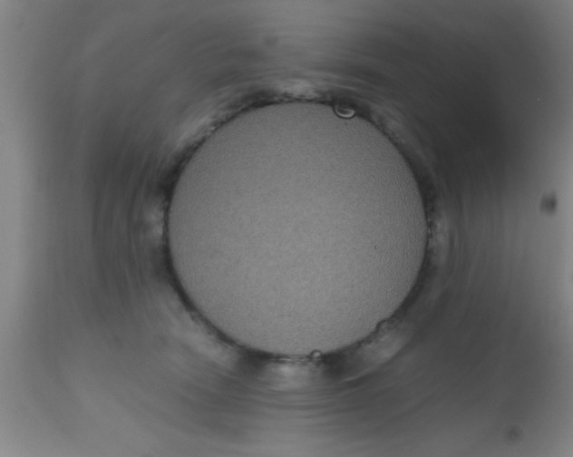 X0000112530466200909071402