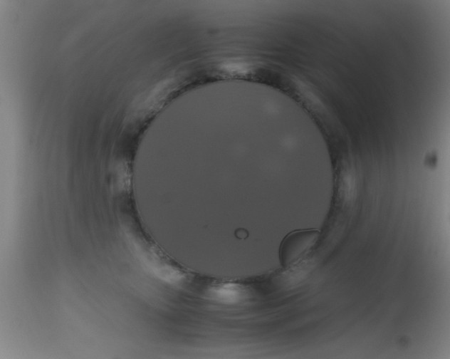 X0000112530467200909071402