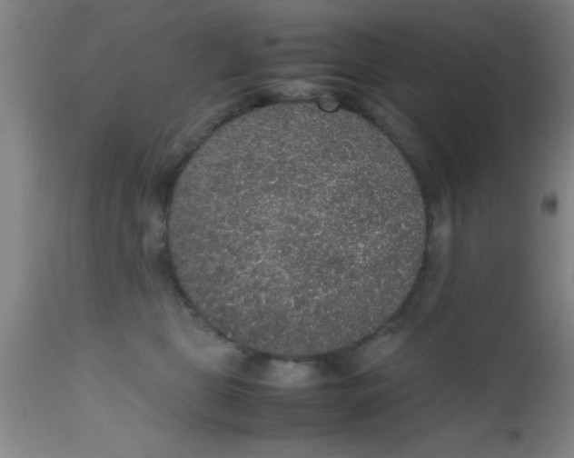 X0000112530469200909071402