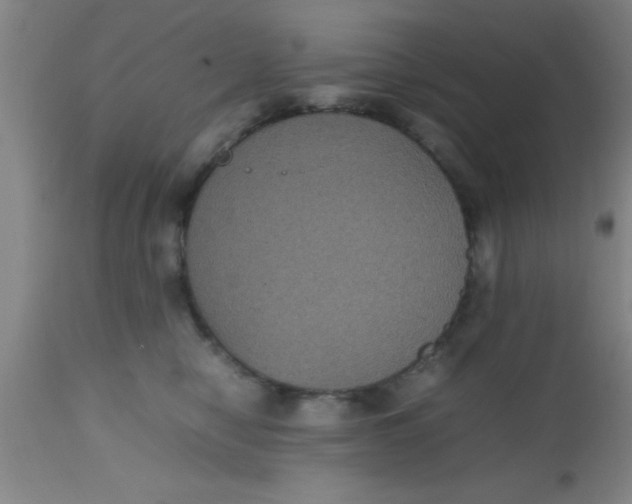 X0000112530470200909071402