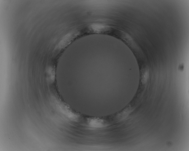 X0000112530471200909071402