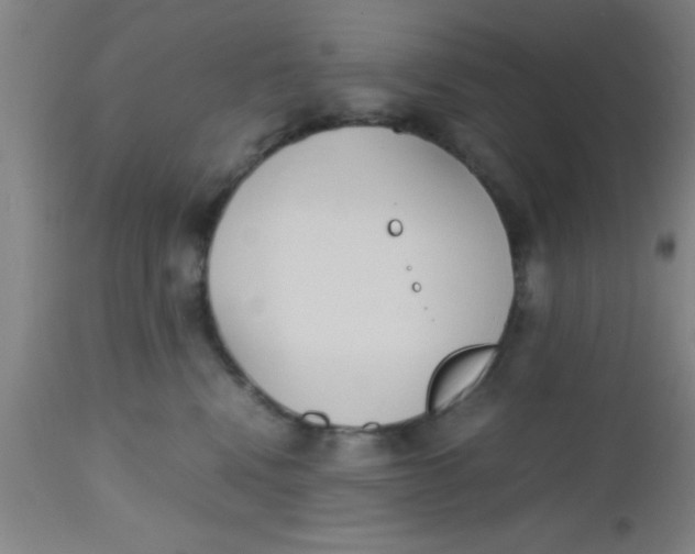 X0000112530472200909071402