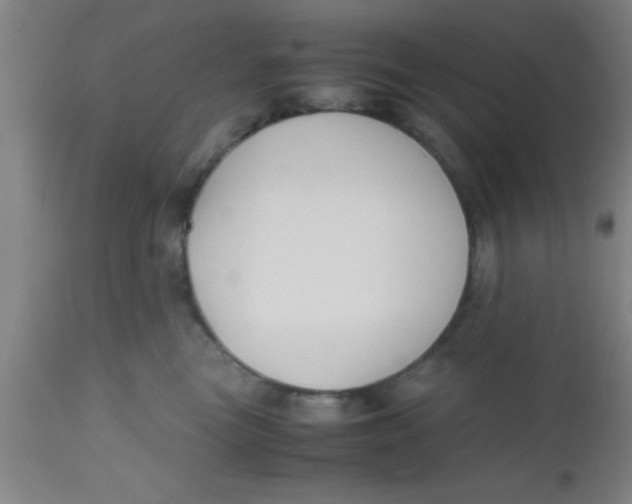 X0000112530473200909071402