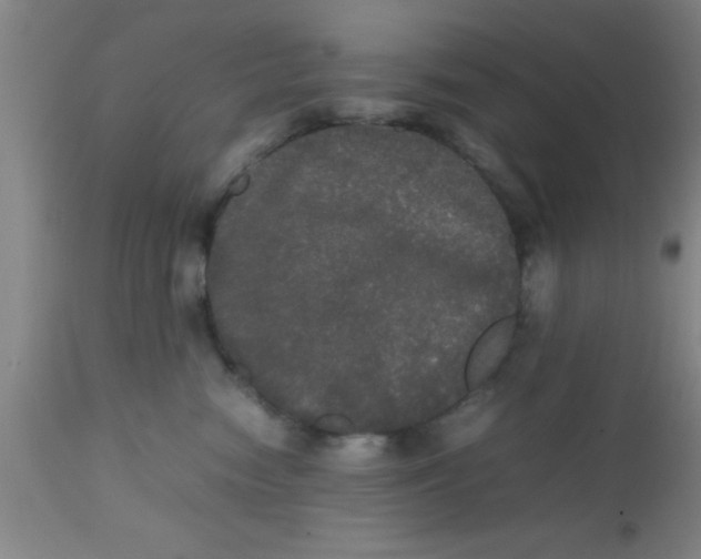 X0000112530474200909071402