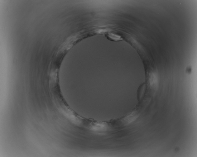 X0000112530475200909071402