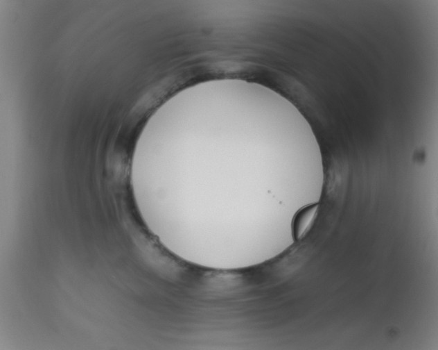 X0000112530476200909071402