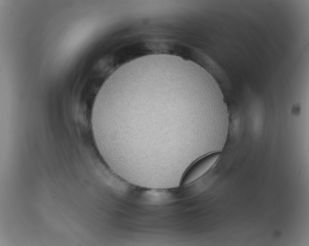 X0000112530477200909071402