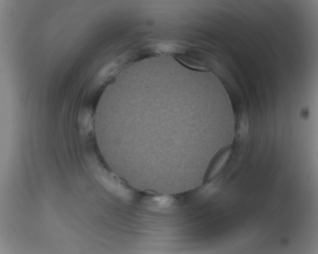 X0000112530478200909071402