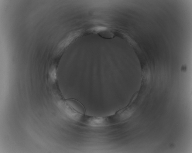 X0000112530479200909071402